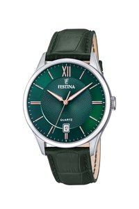 Picture: Festina 20426/7