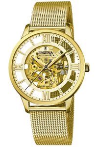 Picture: Festina 20667/1