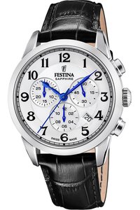 Picture: Festina 20041/1