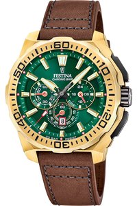 Picture: Festina 20728/2
