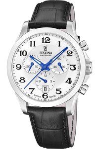 Picture: Festina 20094/1