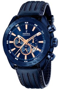 Picture: Festina 16898/1