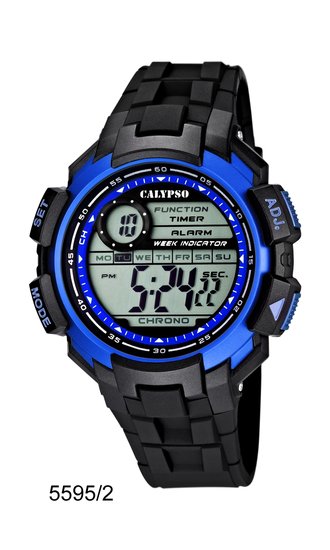 Photo: CALYPSO K5595/2