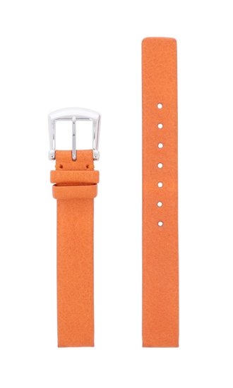 Photo: Pasek Festina F16229/40-BC05094