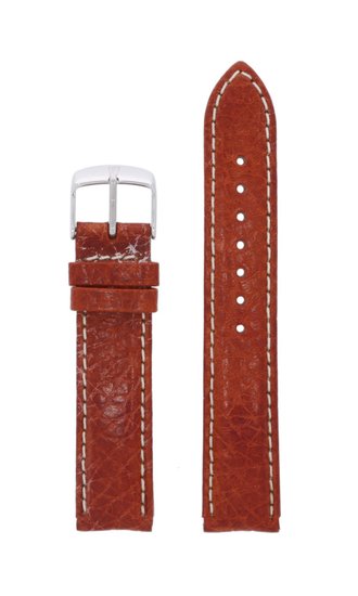 Photo: Pasek FESTINA F7126/40-BC01552