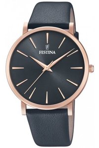 Picture: Festina 20373/2