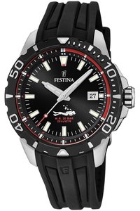 Picture: Festina 20462/2