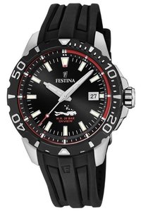 Picture: Festina 20462/2