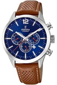Picture: Festina 20542/3