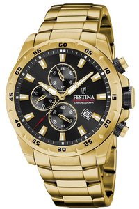 Picture: Festina 20541/4